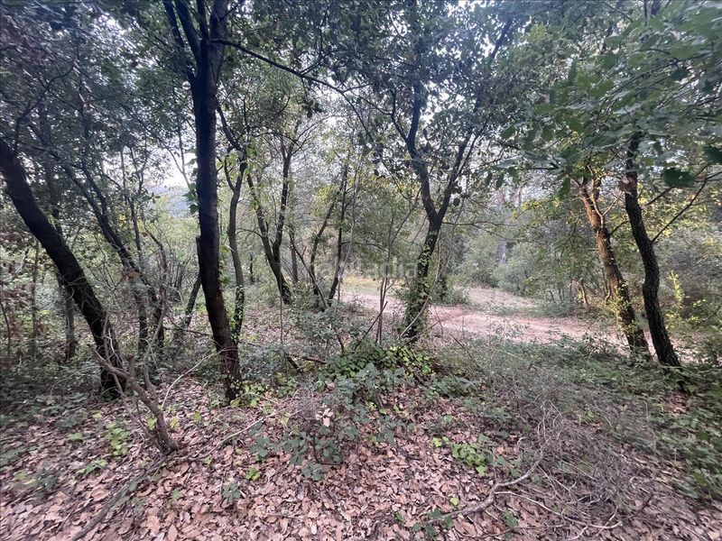 Foto 1e91d400-7278-458b-9c04-fce73487ea92. Finca rústica a pla de palou a Caldes de Montbui