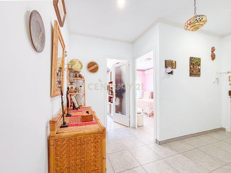 Foto 056ba4cb-d914-4433-8433-75eea049db49. Pis a Cirera Mataró