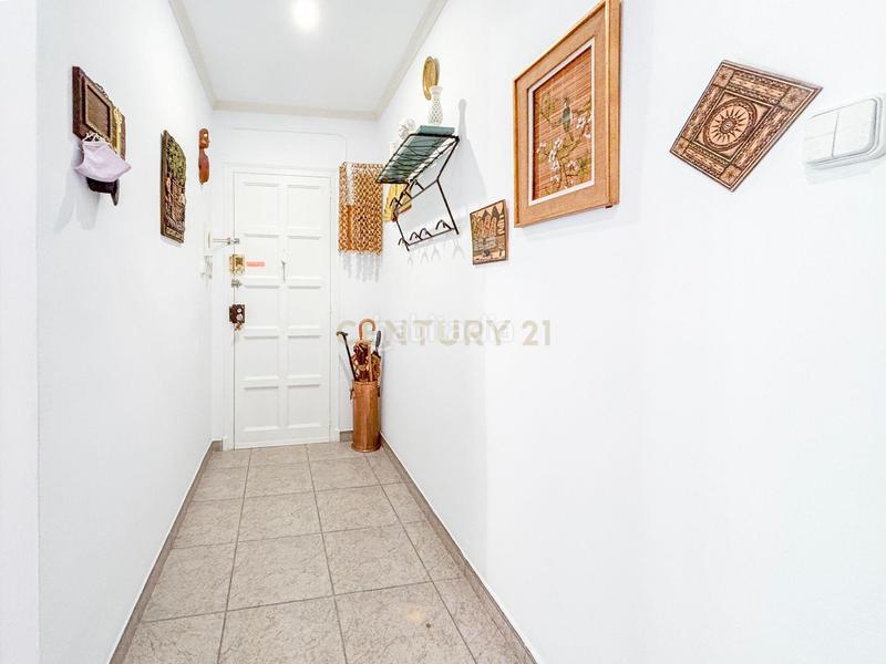 Foto b8385b18-d8f7-4c00-b85f-d58c538362ab. Pis a Cirera Mataró