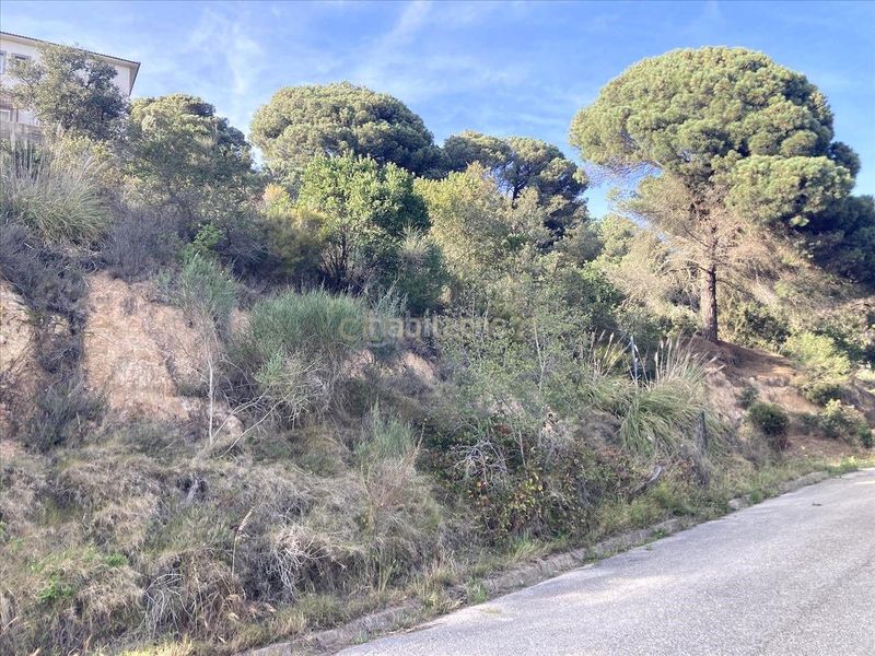 Foto 64274db8-0754-47ef-a289-7be67a976922. Residential plot in Lloret Residencial - Montlloret Lloret de Mar