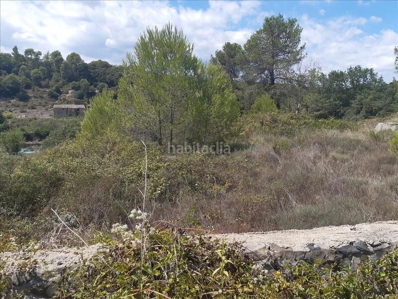 Foto d56be762-fa4e-43d2-a28b-97656cf5af5a. Terreny residencial a 52 a Sant Julià de Ramis