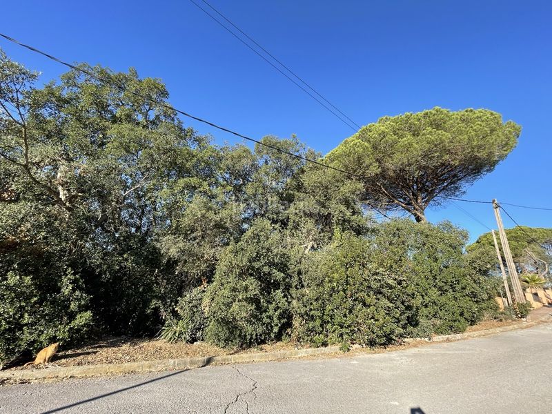 Foto db5e7561-37f7-4394-adb2-24583332ecb9. Terreny residencial a rossinyols a Serra Brava Lloret de Mar