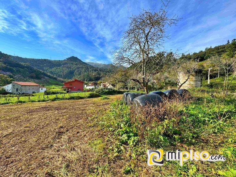 Foto 767d3595-84bf-458e-a089-07a7addce1e8. Haus in Voto