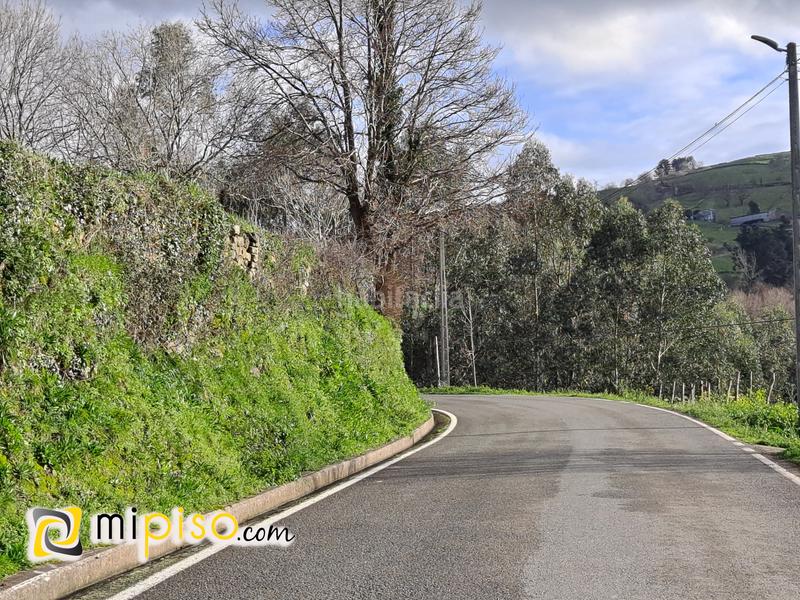 Foto 89adb77a-f5cb-46e8-9149-52ccd0f192ef. Mas dans Rasines