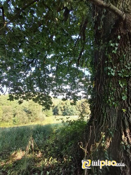 Foto 35b4d2a5-3e82-46ed-8816-e414866a92fe. Terrain résidentiel dans El Callejo - La Pesquera - La Arenosa Laredo