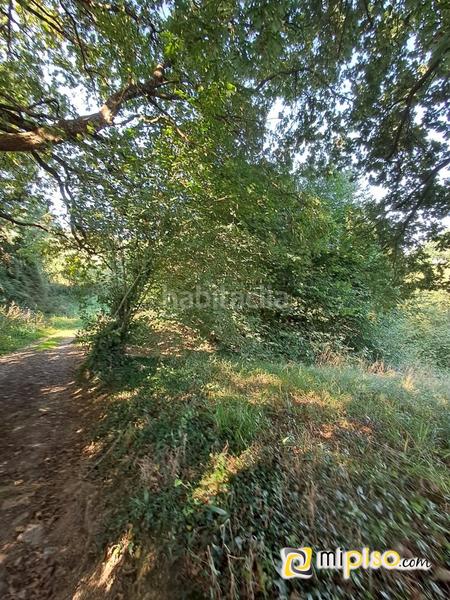 Foto 49e4ad2b-0ab4-445c-8576-563bee8a0b73. Terrain résidentiel dans El Callejo - La Pesquera - La Arenosa Laredo