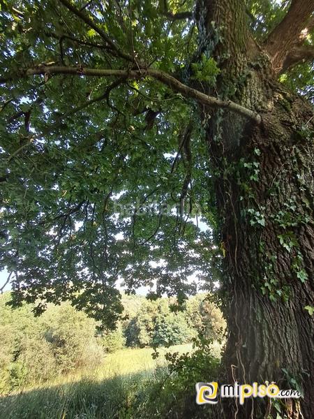 Foto 619d1154-f5e0-48b6-a2d7-bf01a9877230. Terrain résidentiel dans El Callejo - La Pesquera - La Arenosa Laredo