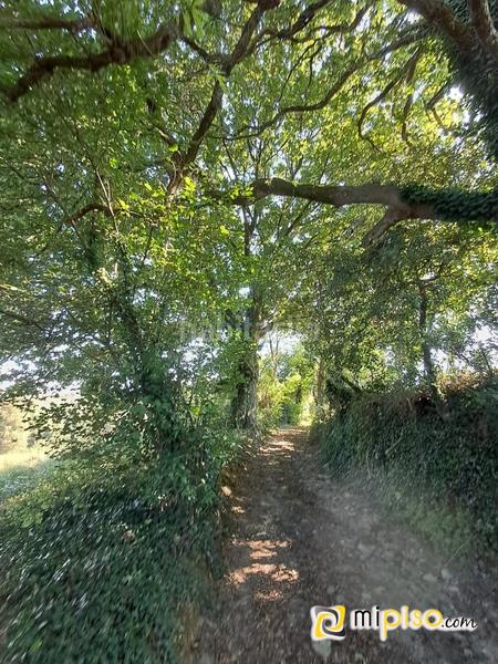 Foto a7c6b67b-6fb4-42ff-8fa8-62471eb6da53. Terrain résidentiel dans El Callejo - La Pesquera - La Arenosa Laredo