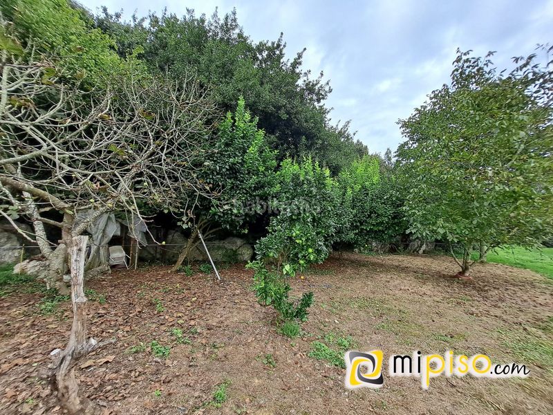 Foto b31bd4da-b947-402a-a612-1ef49ba9b4d1. Terreny residencial a Argoños