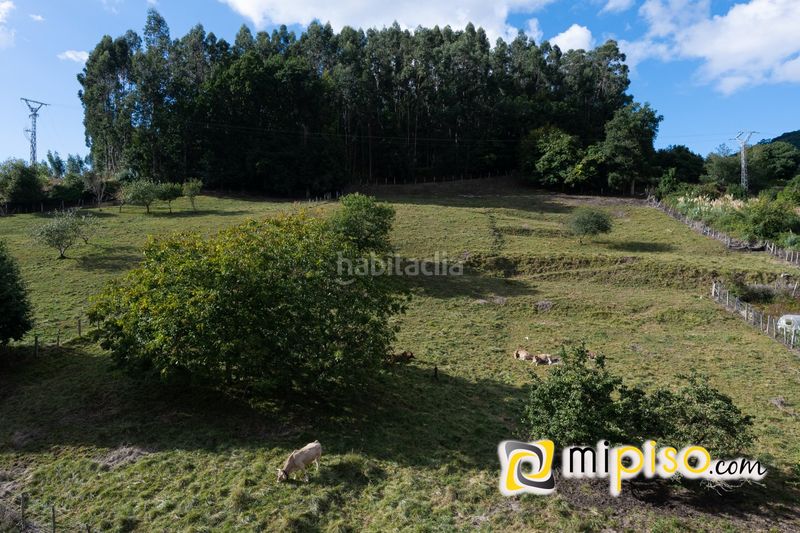 Foto afc2d43f-4bc7-46e9-9ac4-65b322cbb741. Flat in conde de albox 17 in Limpias