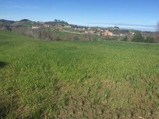 Terreny residencial  Lamadrid - bº argüedes. Si estás en el proceso de buscar un buen emplazamiento para hace