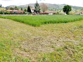 Terreny residencial a Santiurde de Toranzo. Excelente oportunidad! finca urbana y llana de 5.904 m, perfecta