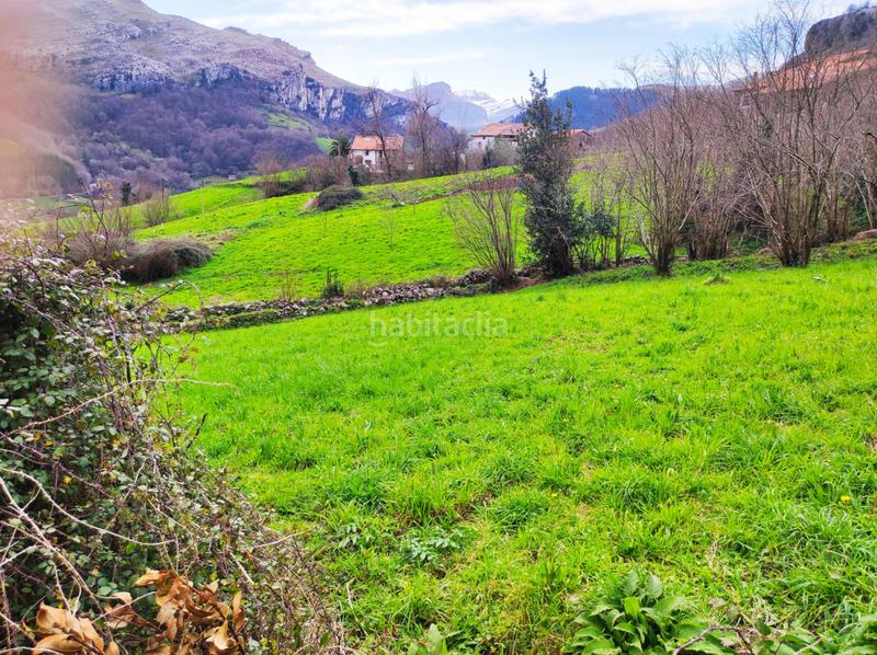 Foto bd480a92-6792-4678-9e0e-68dfca00496a. Casa in Miera - bo la matanza 20 in Miera