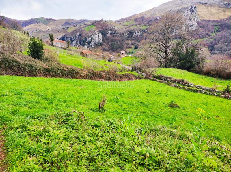 Foto ce83bb2a-3db1-405e-af62-82097f9393ba. Casa in Miera - bo la matanza 20 in Miera