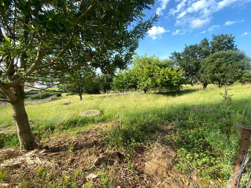 Foto fe005217-a446-43e4-ae96-f1594ff2c069. Terreno residenziale in Polanco