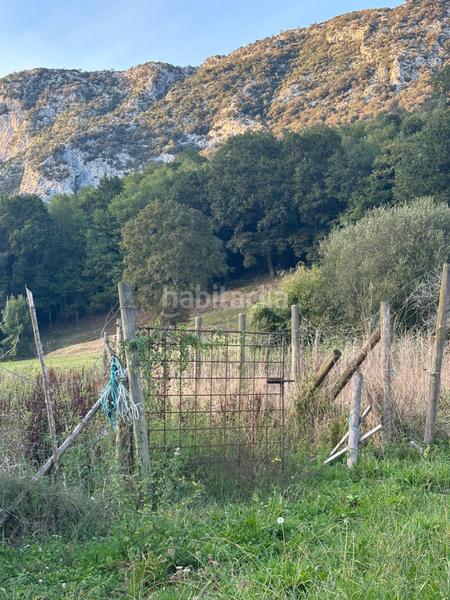 Foto 7bfd01f7-feb1-4b92-94a4-b9a8215db247. Casa in Rionansa