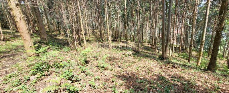 Foto 44018ca0-af73-4ab8-938c-b92b950c3bfb. Casa a Corrales de Buelna (Los)