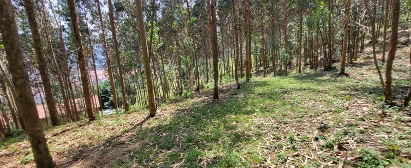 Foto 489e527f-41b7-4bfa-ac34-86f09c9fedf2. Casa a Corrales de Buelna (Los)