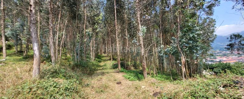 Foto 4a9d4329-af7f-4cac-aa19-08641f665d2d. Casa a Corrales de Buelna (Los)