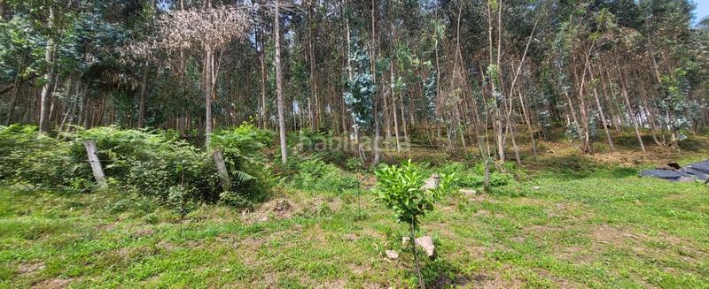 Foto cbf5a279-bdb5-4c3d-8b4c-f6d21d0e38a0. Casa a Corrales de Buelna (Los)