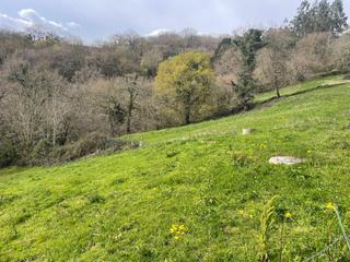 Terrain résidentiel à Corvera de Toranzo. Finca urbana de 1.436m donde construir la casa de tus sueños. es