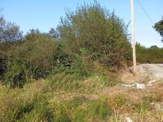 Terreno residencial en Novales - bº san justo. Buscas un rincón verde donde conectar con la tierra? esta parcel