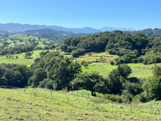 Terreno residencial  Toporias - sitio la ribera s/n. Habéis tomado la decisión de haceros una casa en un pueblo tranq
