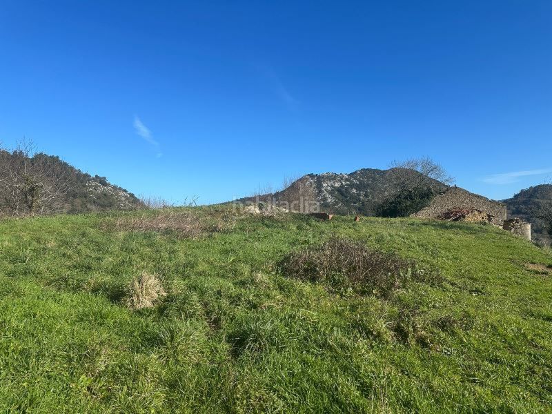 Foto aadd3849-92cf-416a-aa9e-fe059858026a. Finca rústica a Peñamellera Baja