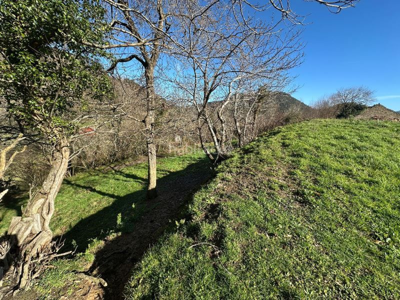 Foto e3ebef77-caf5-46d1-a694-a3db21148aef. Finca rústica a Peñamellera Baja