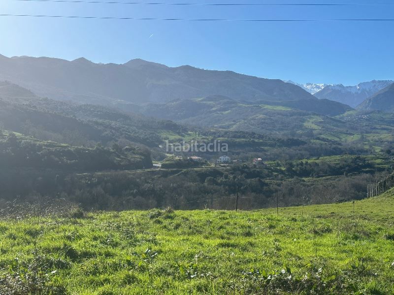 Foto f229513d-3ca1-4947-af6d-739940bd869a. Finca rústica a Peñamellera Baja