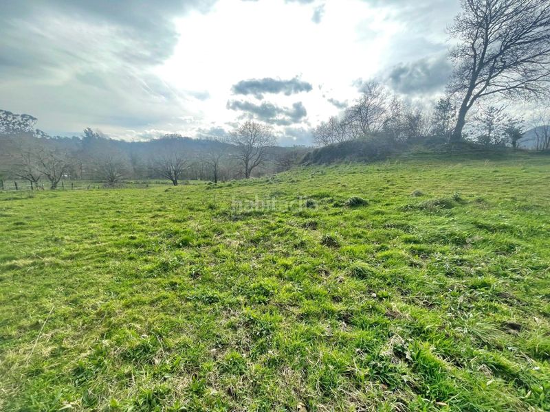 Foto 0abcce84-b540-433b-b32d-9269946ce962. Finca rústica a Castañeda