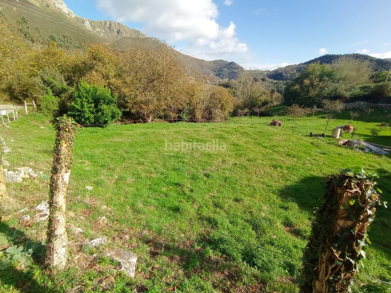 Foto 1eba508e-d03f-42aa-a971-2f94da27601e. Finca rústica a Peñamellera Alta