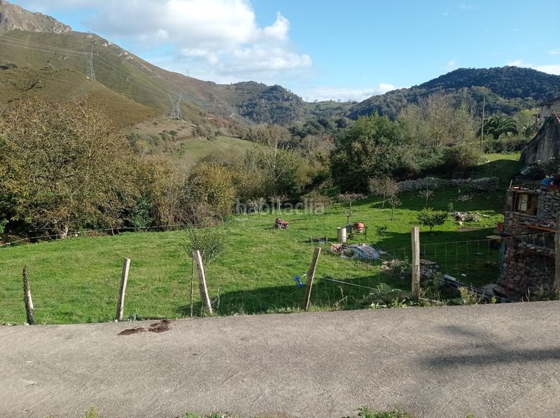 Foto fb04d05e-5b9d-4f59-aea9-ade8da16767c. Finca rústica a Peñamellera Alta