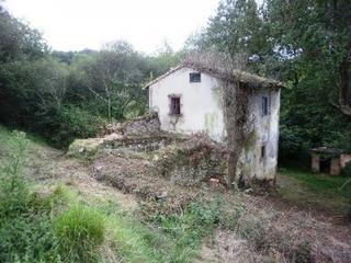 Casa a C/ molino de arriba s/n. En plena comarca de los picos de europa encontramos esta finca s