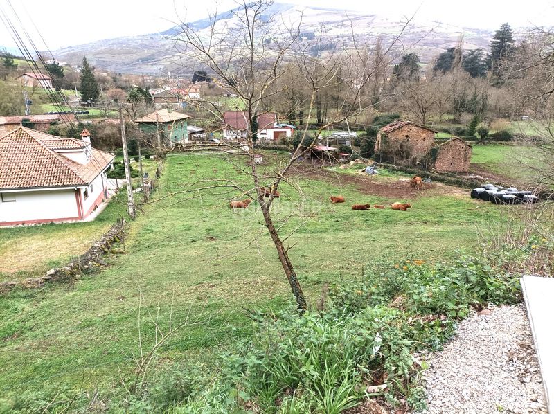 Foto 9c9aa6ab-25e1-4487-bd14-171eef675d66. Finca rústica a Arenas de Iguña