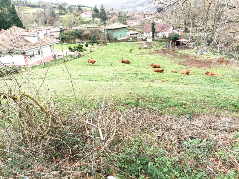 Foto b7771813-a973-4020-ae7f-cca81090b3cd. Finca rústica a Arenas de Iguña
