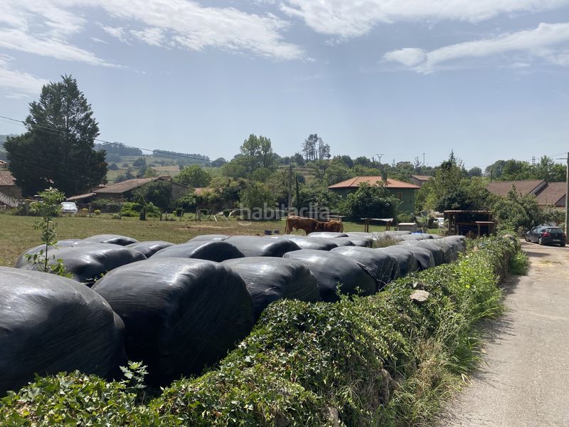 Foto dcdaf652-d6c4-4d5b-80e3-e32437aa7274. Finca rústica a Arenas de Iguña