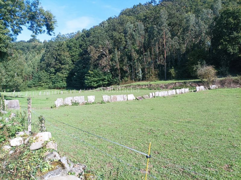 Foto d8899edf-dbef-450a-8442-f51ab039598b. Finca rústica a Arenas de Iguña
