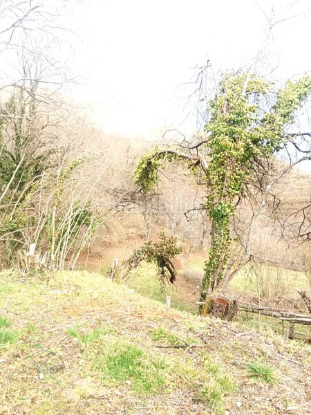 Foto 34225ef1-a00d-4adb-b77d-4bd37650e38d. Finca rústica a Rionansa