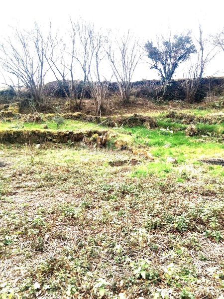Foto 8c288e0f-3765-4e1f-b061-bacb39c63adc. Finca rústica a Rionansa