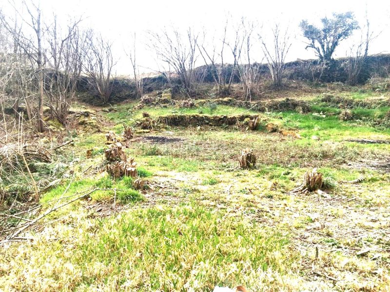 Foto ac91f891-20e4-4af0-9c54-7a76b25bfd3e. Finca rústica a Rionansa