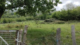 Rural plot  Bº san sebastian de garabandal. Oportunidad única! se vende finca rústica edificable en san seba