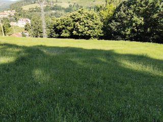 Finca rústica  Puentenansa - barrio rioseco. Se ofrece magnífica parcela rústica, pero edificable, de más de2