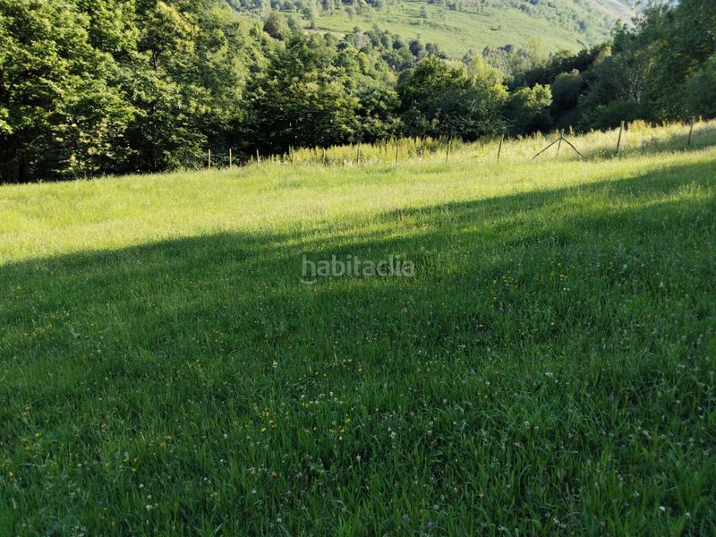 Foto 2a175777-1f99-47ec-a55d-45ab5747cad9. Finca rústica a Rionansa