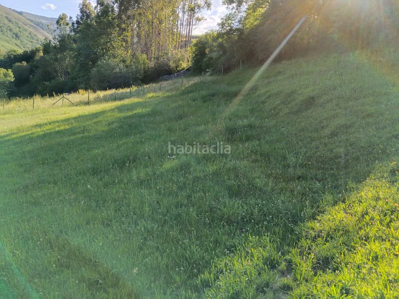Foto 5dcbe179-16be-4f4a-a6f3-608c534988f8. Finca rústica a Rionansa