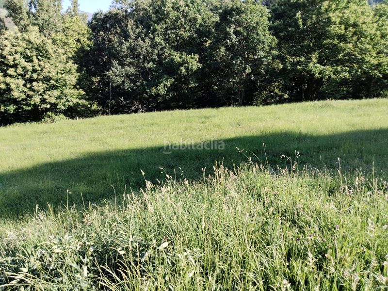 Foto 65d0c312-c0bc-46ca-86ce-421c7ca68144. Finca rústica a Rionansa