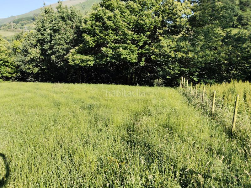 Foto dd8459c6-016b-4420-bbb6-fc1b43e1f779. Finca rústica a Rionansa