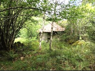 House  Cosío - praucos. En el paraje de praúcos, en rionansa, rodeada de naturaleza y de
