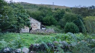 Appartamento  Cosío - praucos. Finca rústica de más de 28.000 m con cabaña para rehabilitar muy