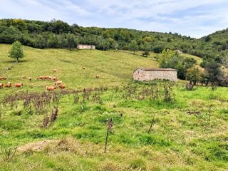 Casa  San sebastián de garabandal - matazorra. ? oportunidad única en san sebastián de garabandal finca de 10 h
